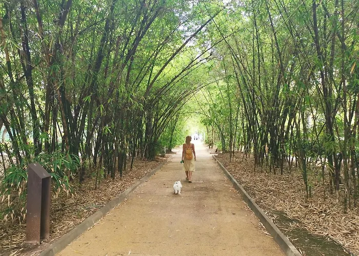 Appartement Home2book Charming Center Cruz Santa-Cruz de Ténérife