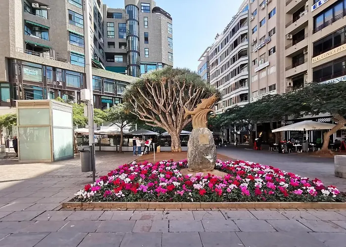 Home2book Charming Center Cruz Appartement