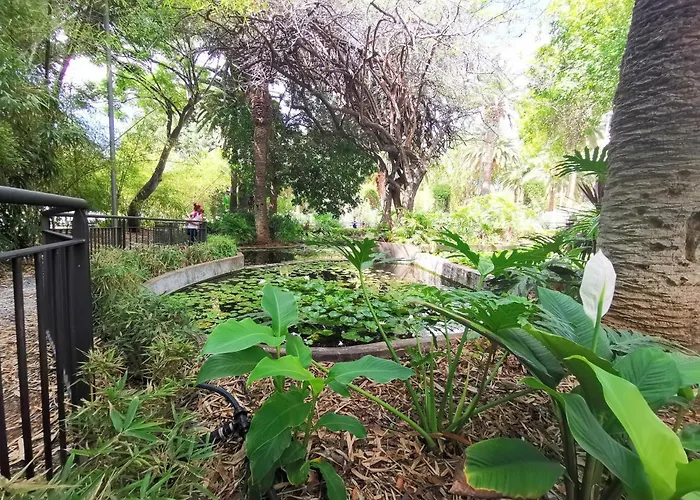 Home2book Charming Center Cruz *