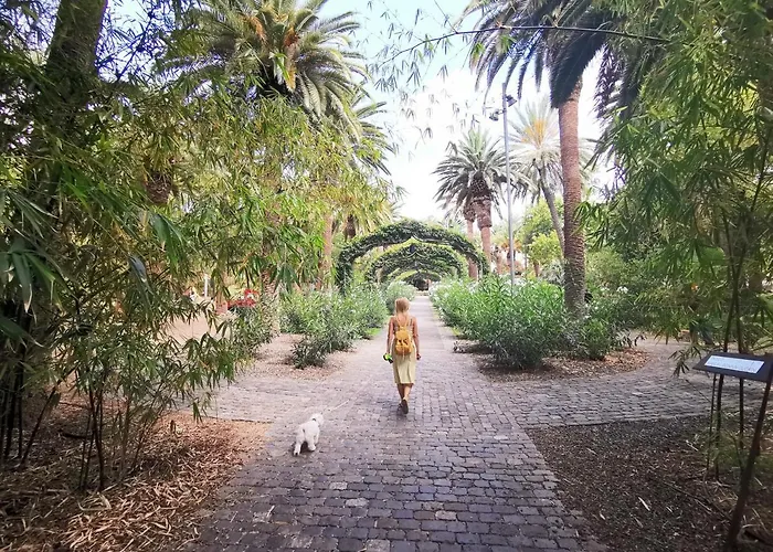 Home2book Charming Center Cruz